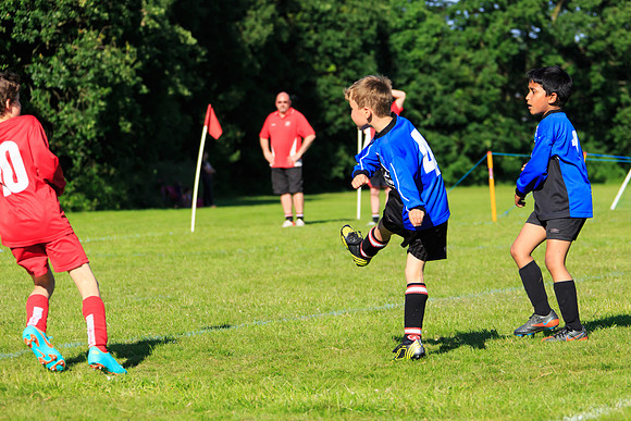 130629 Sandhurst Wanderers U8 at BTJ U9 Trny (532)