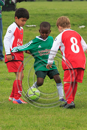 Eldon-2014 210