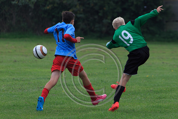 Eldon-2014 725