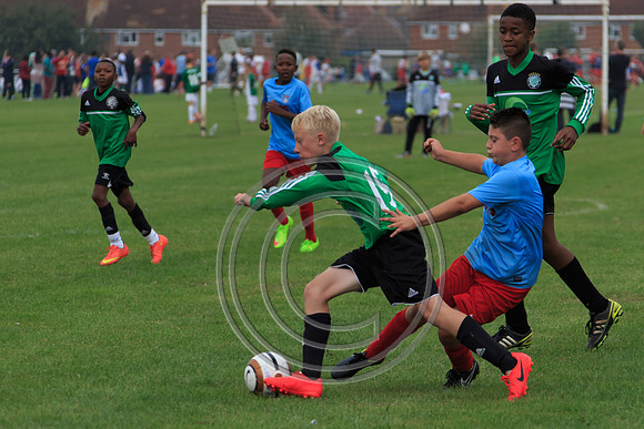 Eldon-2014 754