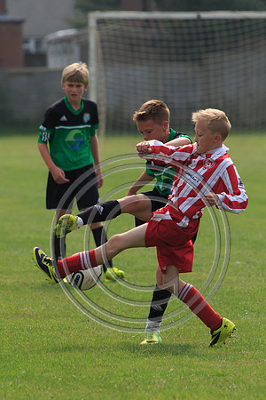 Eldon-2014 644