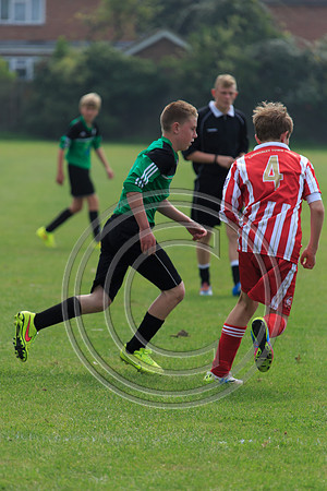 Eldon-2014 651