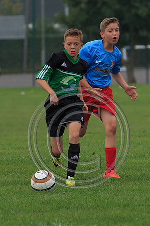 Eldon-2014 760