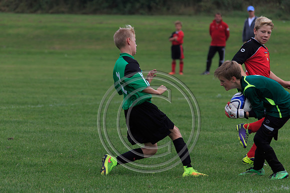 Eldon-2014 420