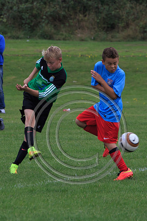 Eldon-2014 739