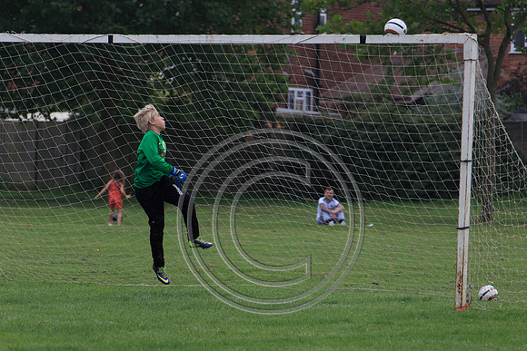 Eldon-2014 737