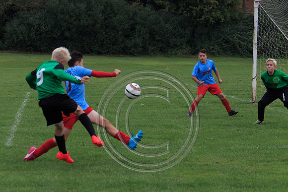Eldon-2014 742