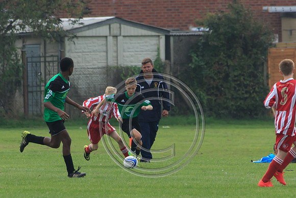 Eldon-2014 624