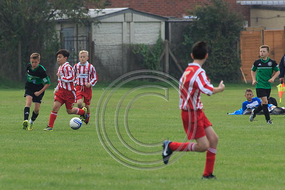 Eldon-2014 626