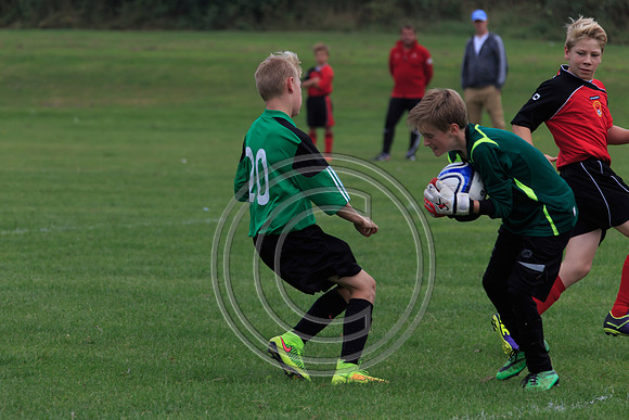 Eldon-2014 421