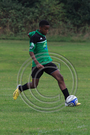 Eldon-2014 422