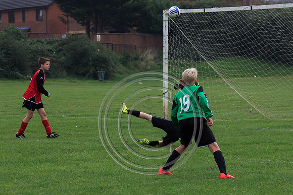 Eldon-2014 408
