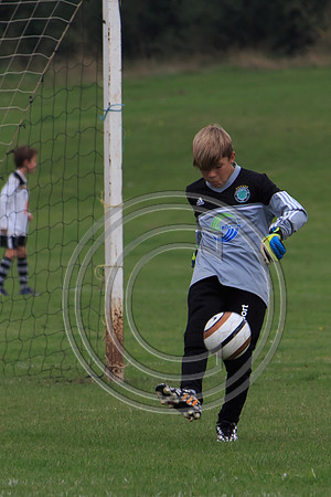 Eldon-2014 729