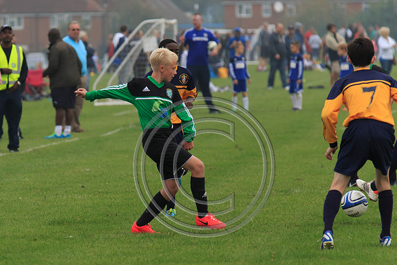 Eldon-2014 131