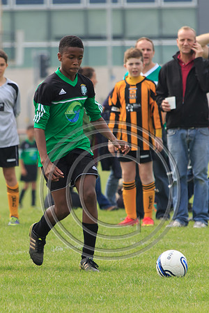Eldon-2014 638