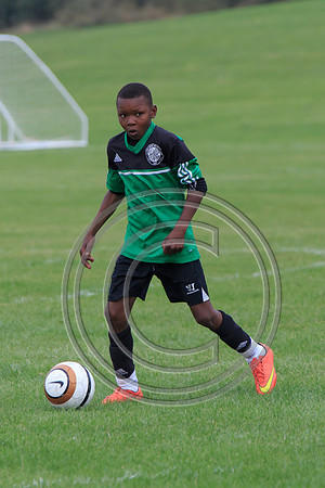 Eldon-2014 747