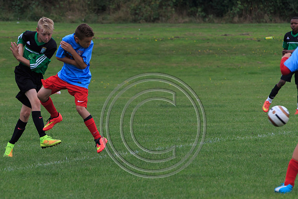 Eldon-2014 740
