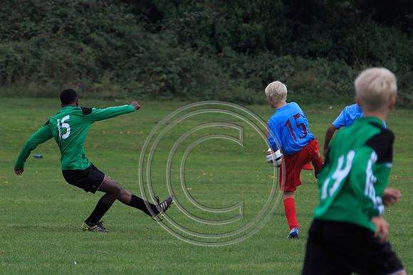 Eldon-2014 735