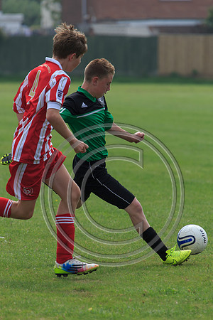 Eldon-2014 653