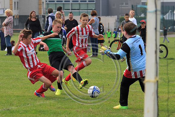 Eldon-2014 658