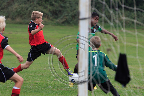 Eldon-2014 425