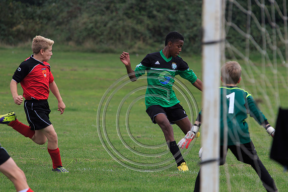 Eldon-2014 423