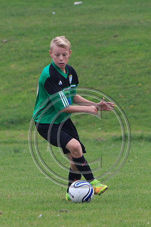 Eldon-2014 124