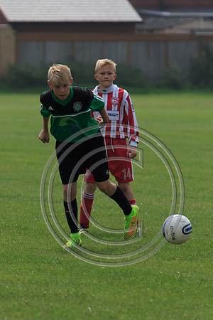 Eldon-2014 650