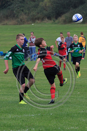 Eldon-2014 430