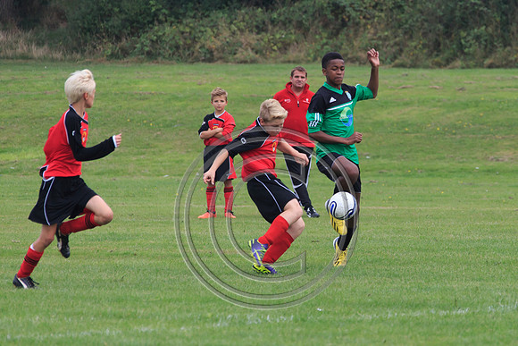 Eldon-2014 413