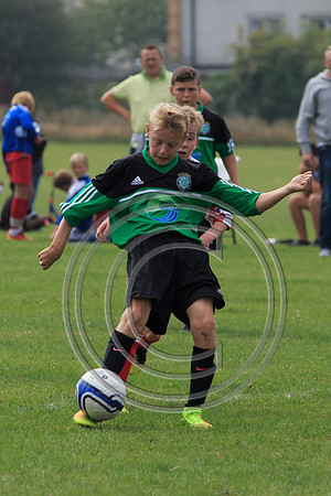Eldon-2014 655