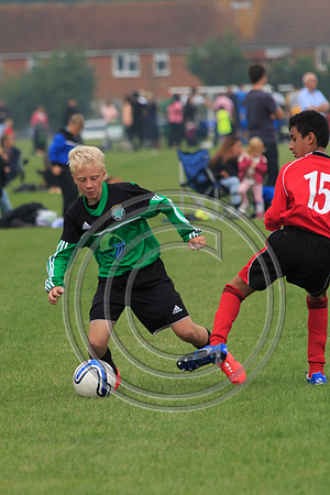 Eldon-2014 432-2