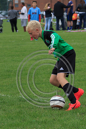 Eldon-2014 764
