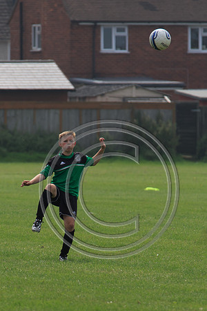 Eldon-2014 647