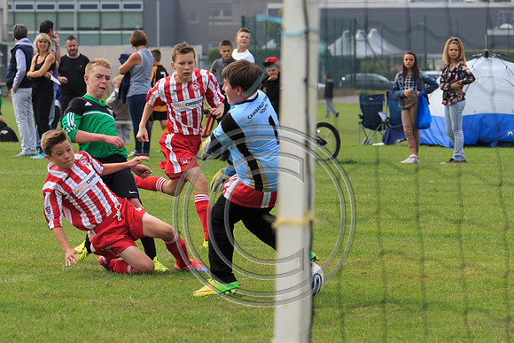 Eldon-2014 660