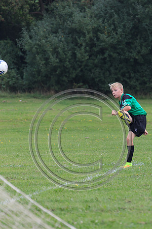 Eldon-2014 426