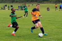 Eldon-2014 140