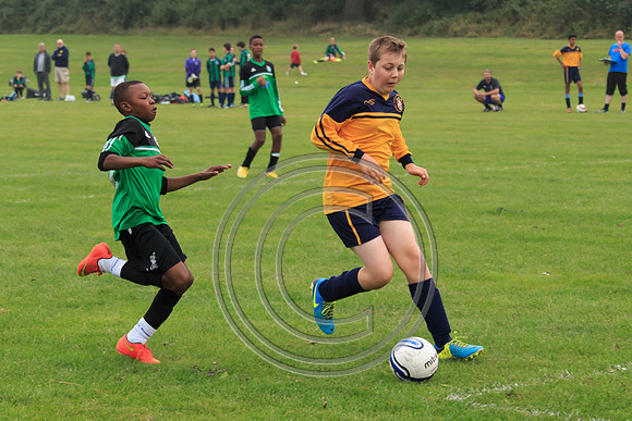 Eldon-2014 140