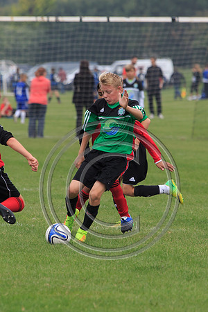 Eldon-2014 431