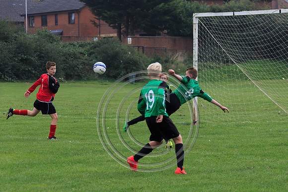 Eldon-2014 407