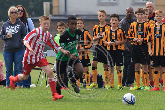 Eldon-2014 637