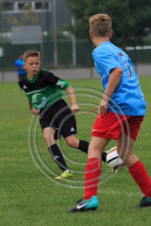 Eldon-2014 761