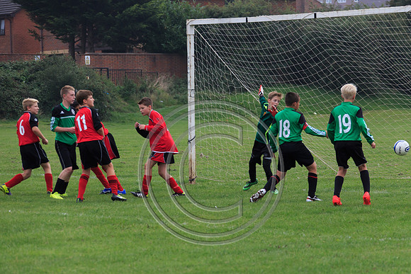 Eldon-2014 410