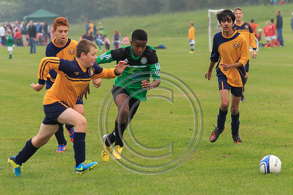 Eldon-2014 151