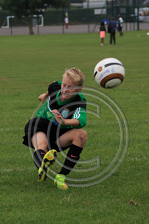 Eldon-2014 750