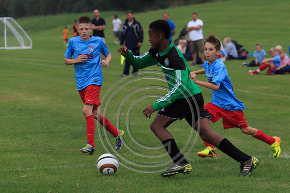 Eldon-2014 768
