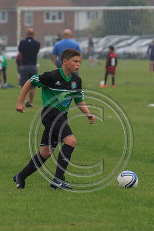 Eldon-2014 132