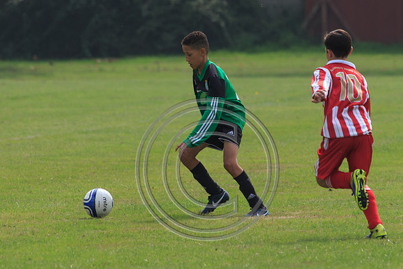 Eldon-2014 645