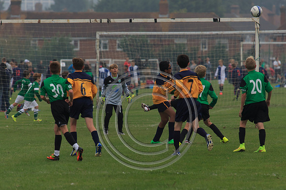 Eldon-2014 146