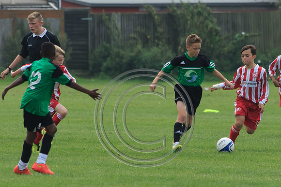 Eldon-2014 629